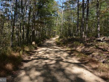 33+ Acres Quail Run