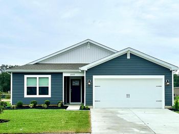 22175 Shorebird