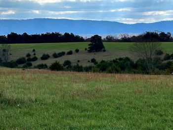 Lot 26 Markwood Drive