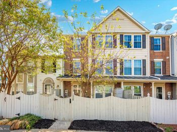 558 Hollyberry