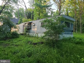 294 Park