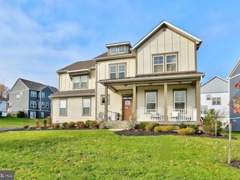 24289 Grayleaf Willow