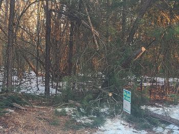  Shiloh Church Road