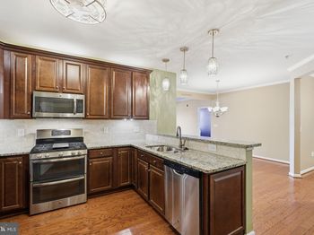 24637 Woolly Mammoth