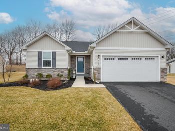 4244 Cypress