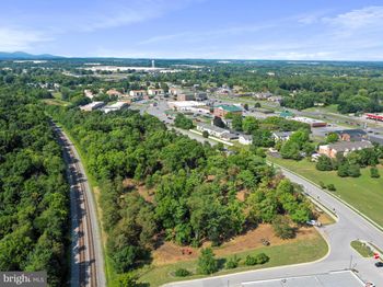6.82 Acres Lutz Ave