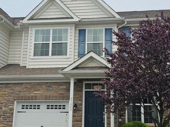 4548 Woodbrush