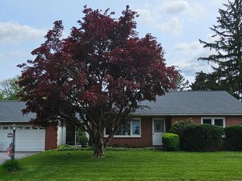1504 Cardinal