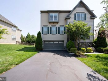 14298 Ladderbacked