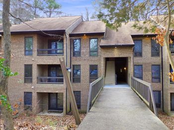 23311 Sugar Maple