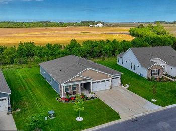 18169 White Cedar