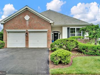 32 Brewster