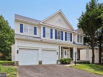 3108 Tulip Tree