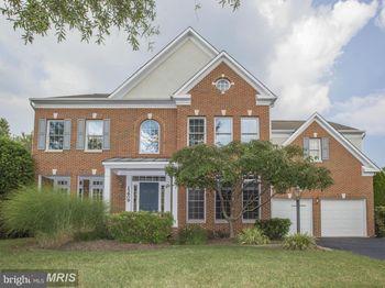 13909 Willow Tree