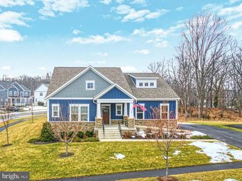 24277 Grayleaf Willow