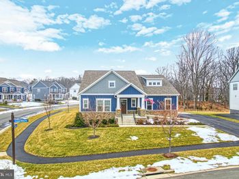 24277 Grayleaf Willow