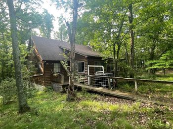807 Feller