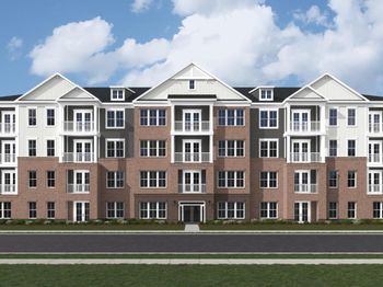 4005 Seaside Alder