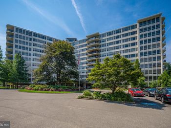 50 Belmont