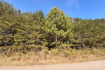 1953 Milton Street Unit: 36