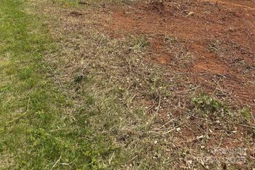 0 Carlos Road Unit: 4