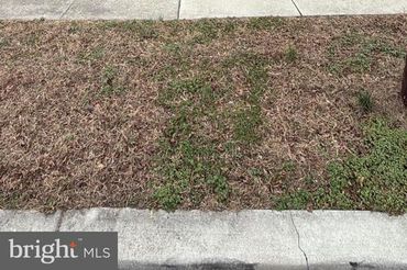 245 Nicholson Street