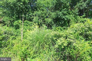 9515 Piscataway Road