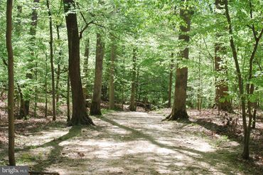 Parcel 45 Bryan Point Road