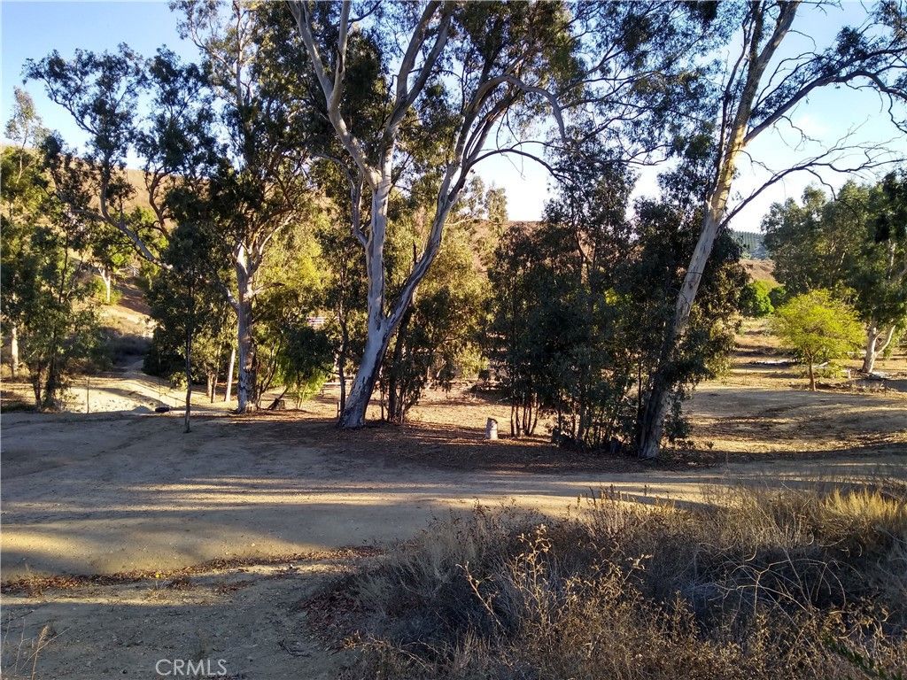 6947 Solano Verde Drive Somis, CA 93066 - MLS #SR24004377 - Luxury Estates  International