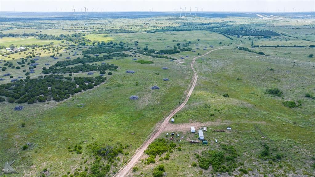 3402 County Road 196 Blackwell, TX 79506 - MLS #21030950 - EmpowerHome Team