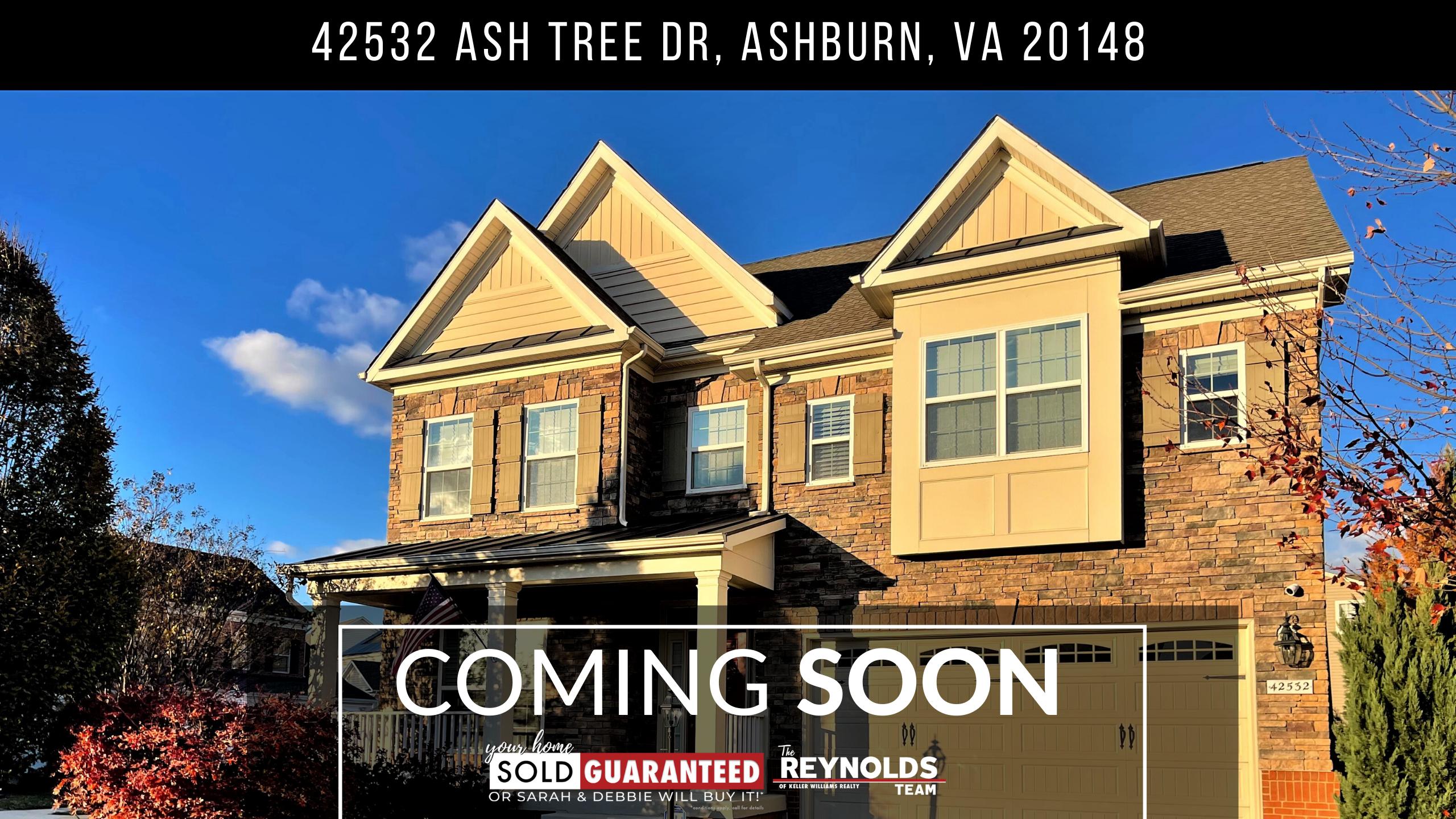 42532 Ash Tree Dr, Ashburn, VA 20148