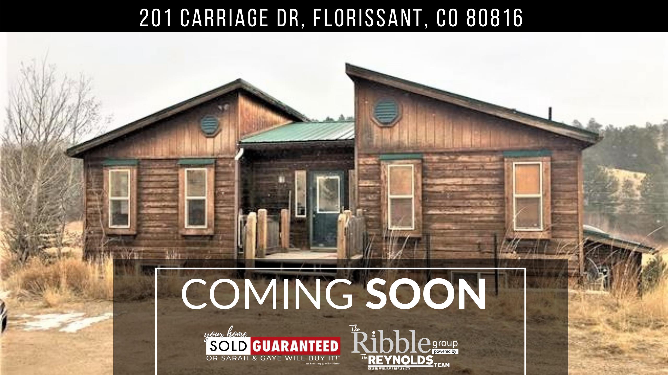 201 Carriage Dr, Florissant, CO 80816