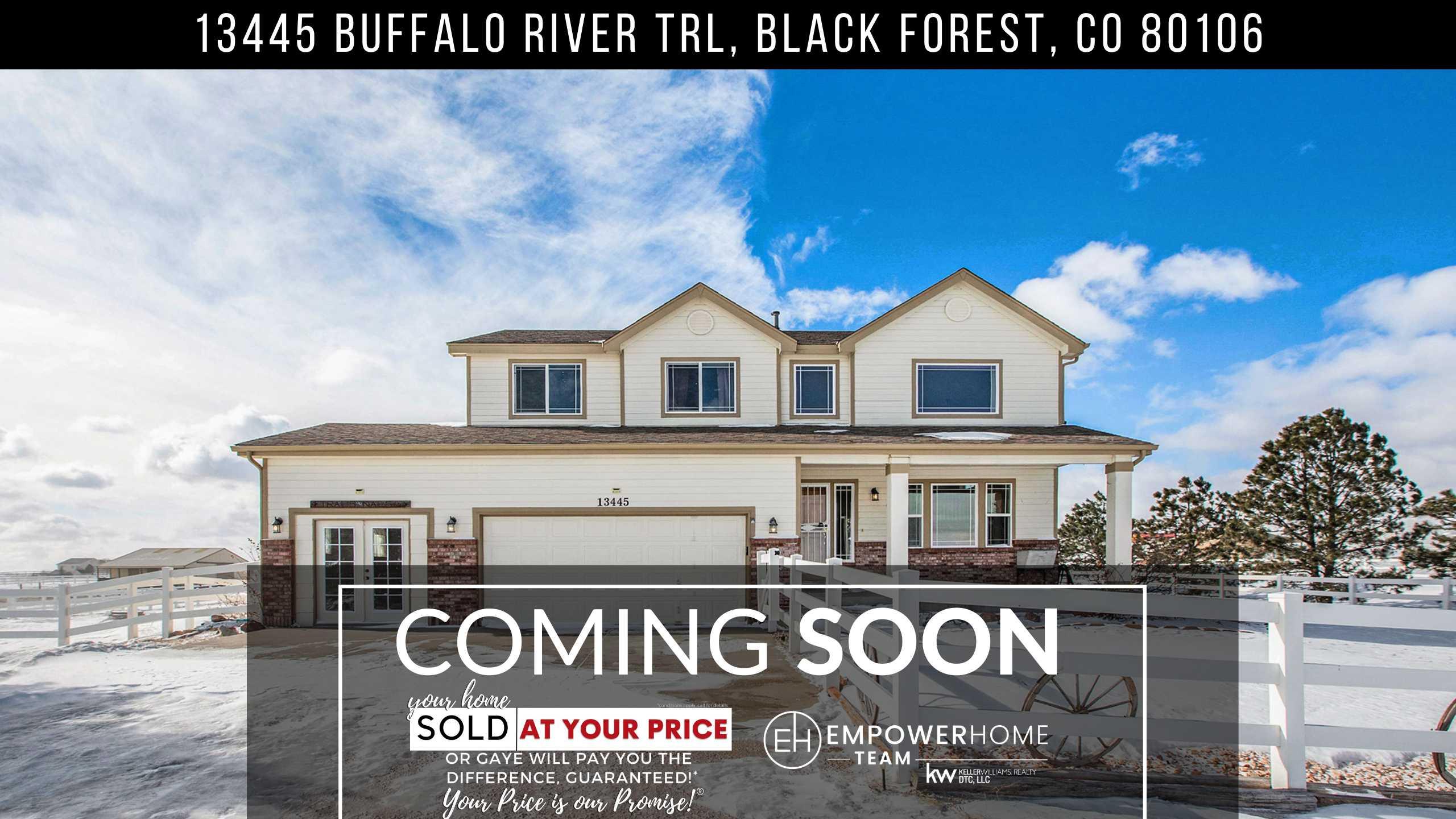 13445 Buffalo River Trl, Black Forest, CO 80106