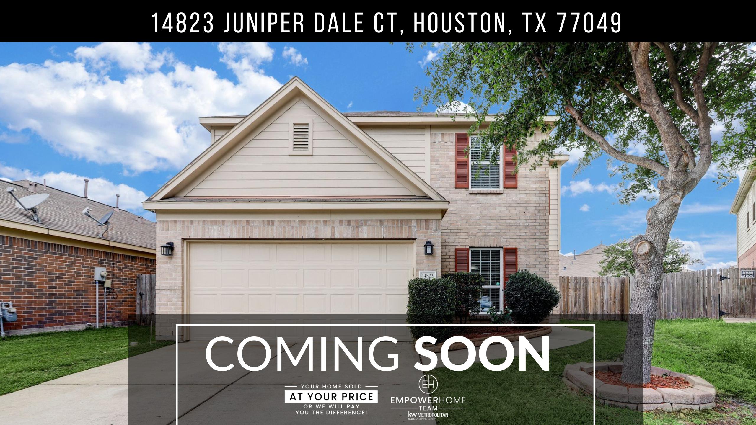 14823 Juniper Dale Ct, Houston, TX 77049