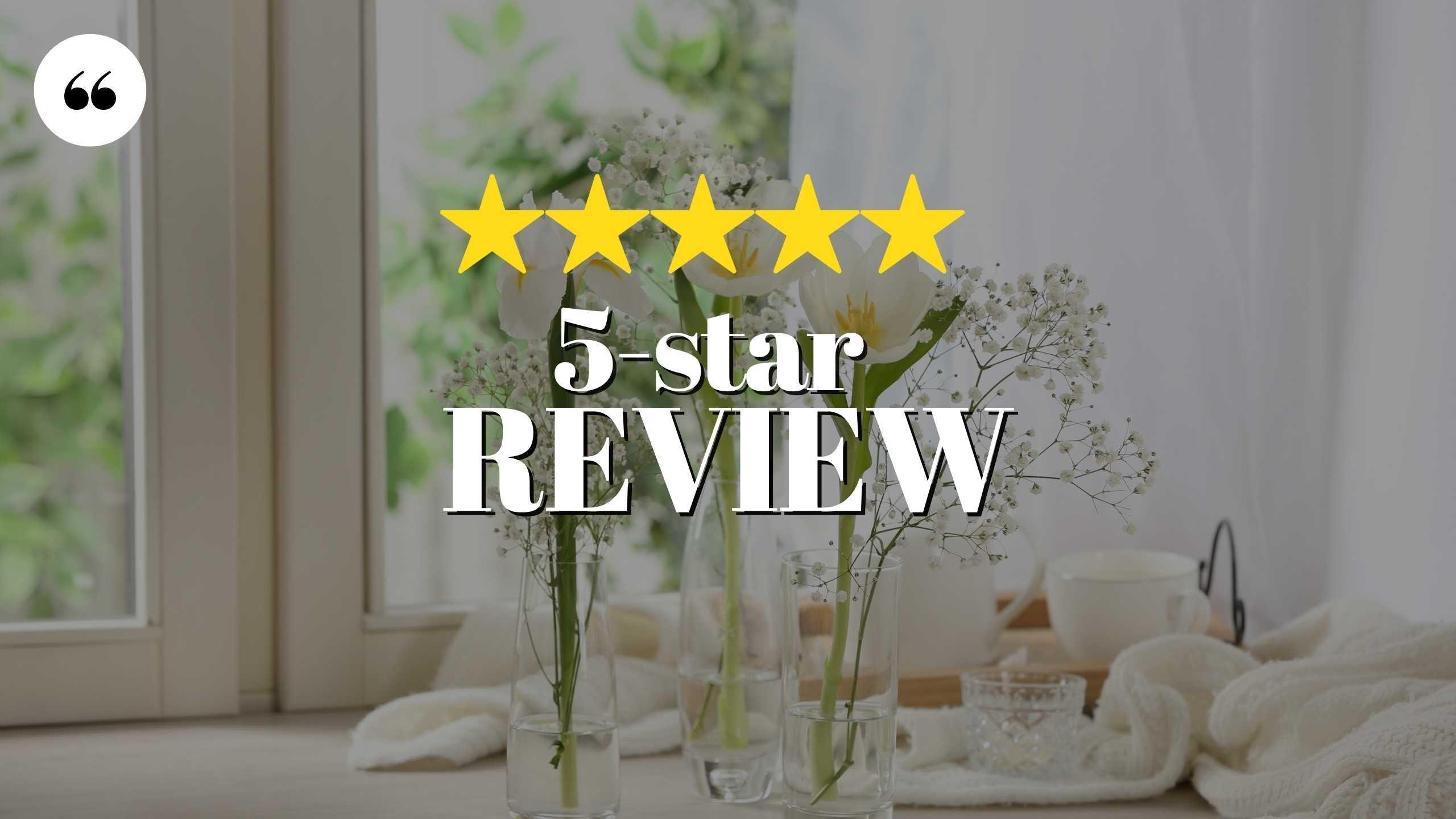 5 Star Review: Guiding our Forever Clients!