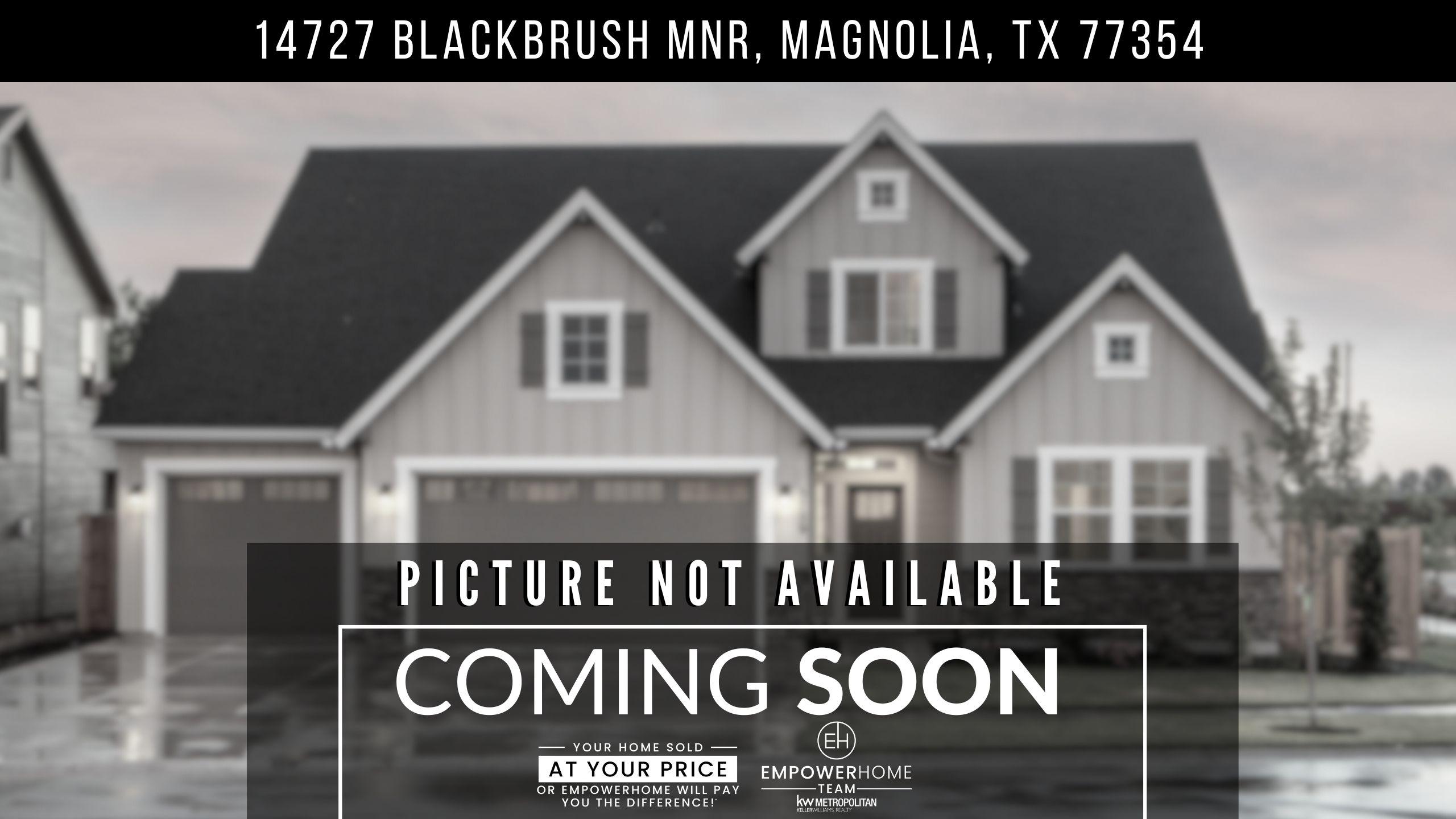 14727 Blackbrush Mnr, Magnolia, TX 77354