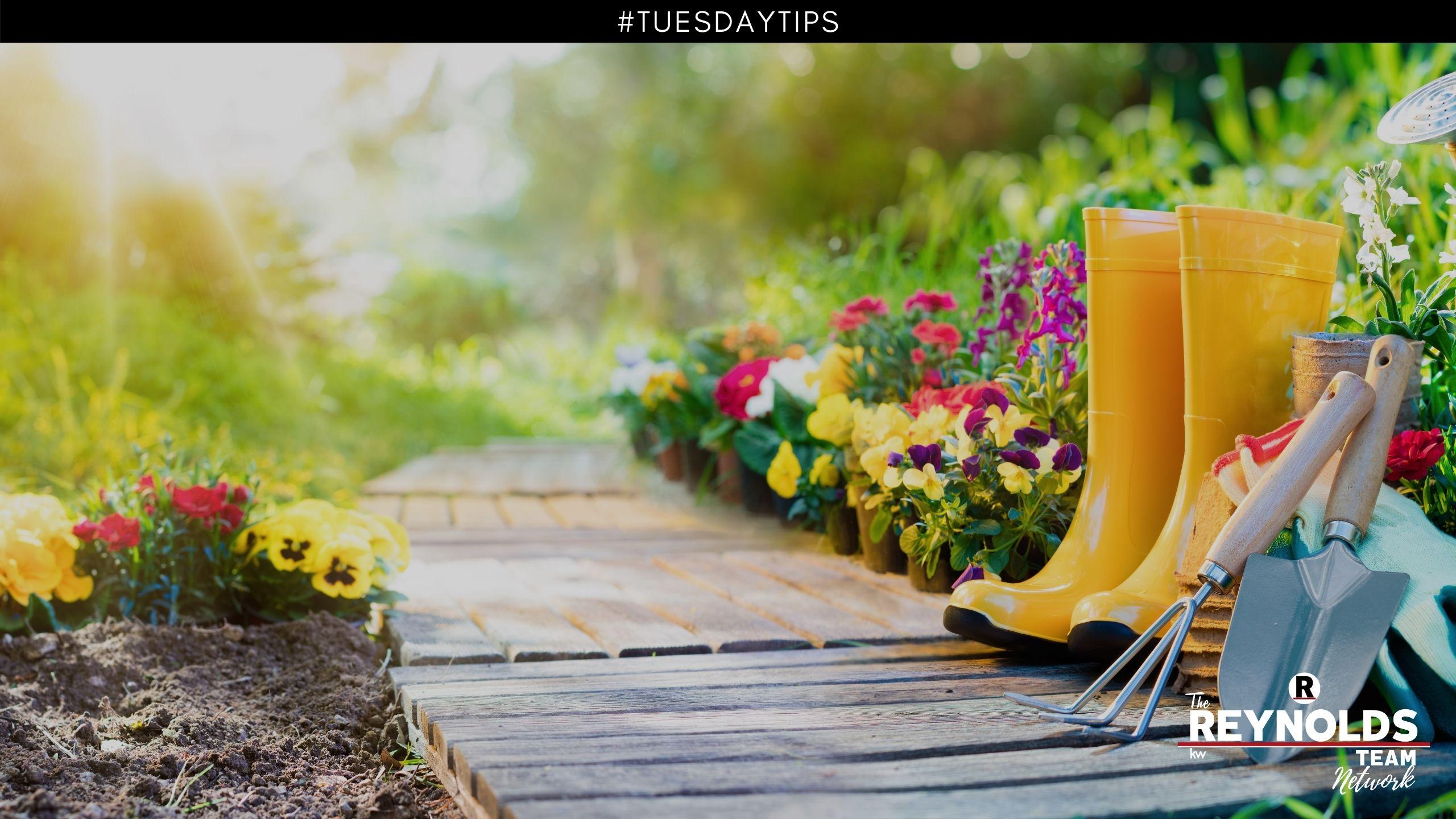 Tuesday Tips: Make a Garden Plan