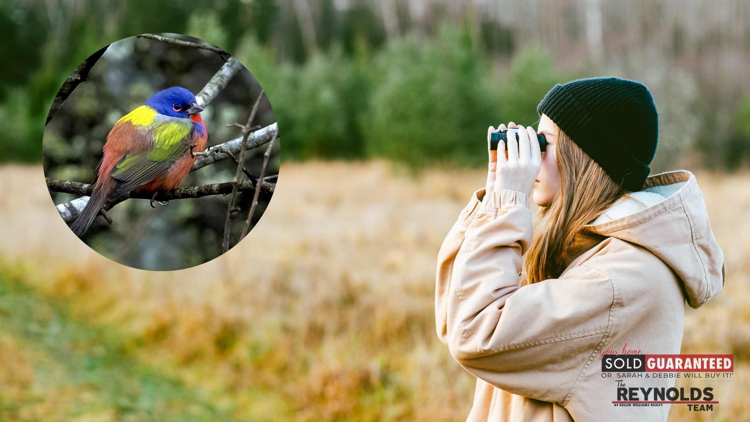 How To Attract Birds In Your Yard