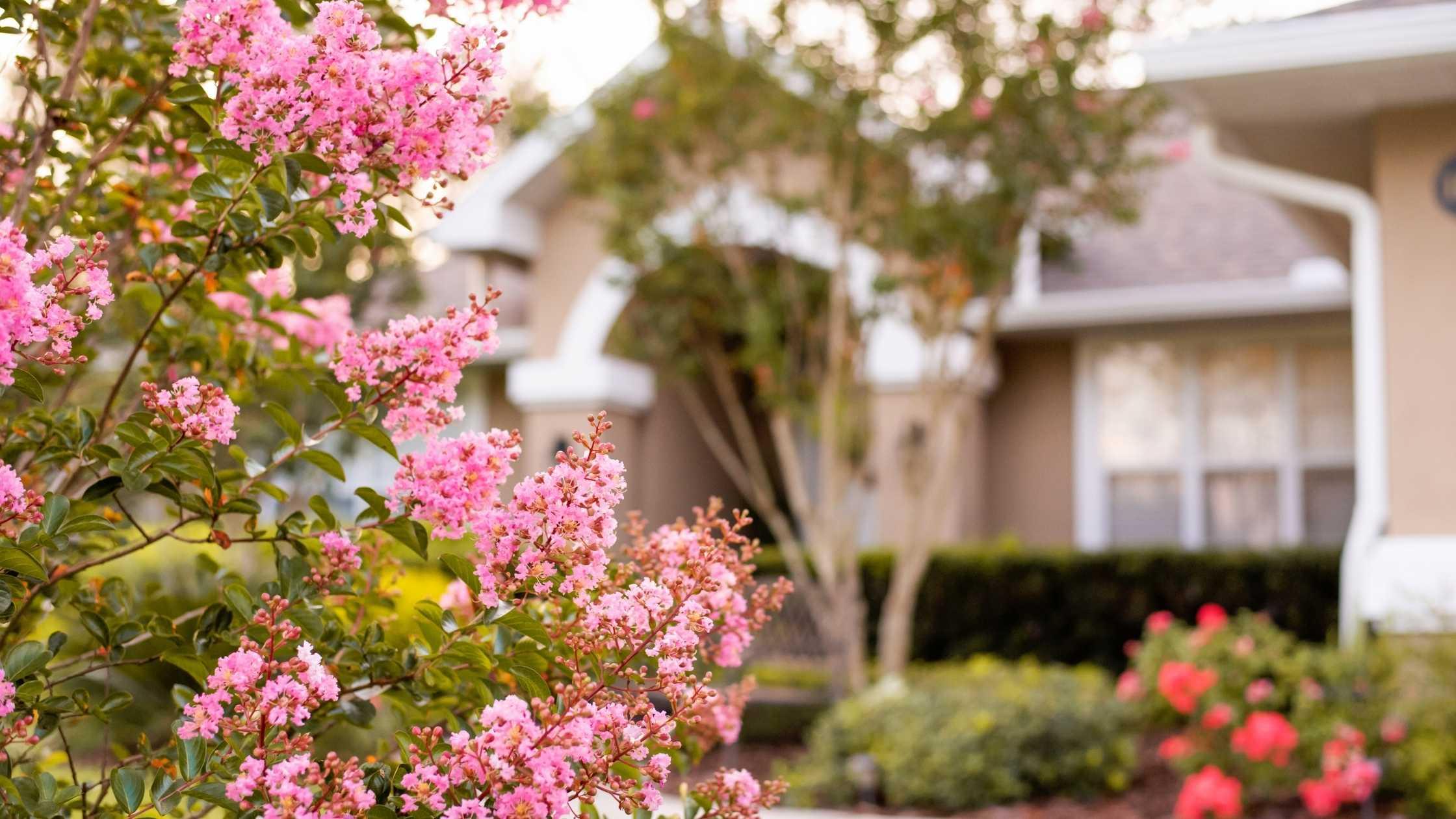 How to Give Your Dallas, TX, Property More Curb Appeal