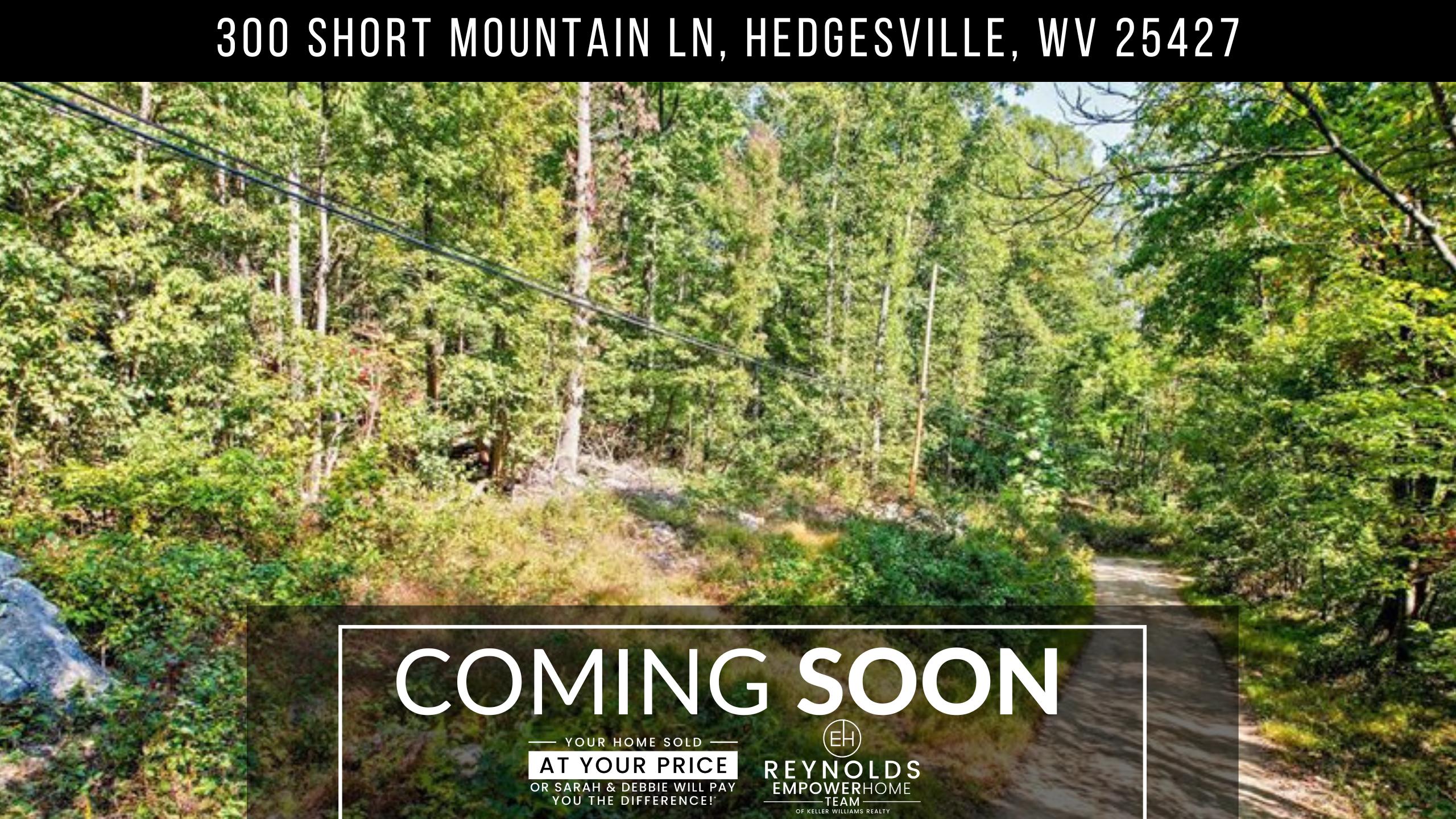 300 Short Mountain Ln, Hedgesville, WV 25427