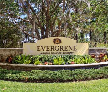 Evergrene