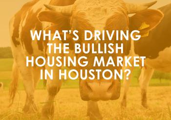 What’s Driving the Bullish Housing Market in Houston?