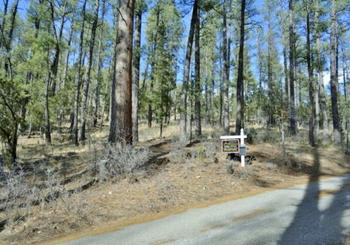 137 Evans Rd, Ruidoso, NM 88345