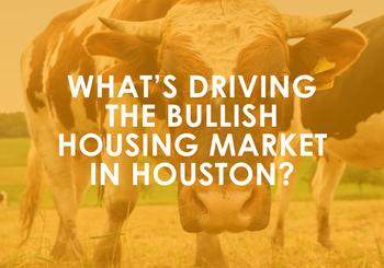 What’s Driving the Bullish Housing Market in Houston?