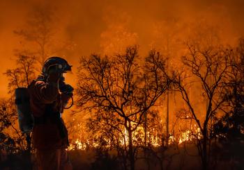 Protecting Your Home From Wildfires