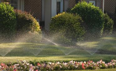 Buying And Installing A Sprinkler System