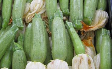 Squash Can Bring A Smile to Your Home