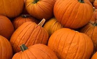 Local Happenings In October