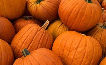 Halloween Happenings in Maplewood, South Orange, Millburn/Short Hills Area