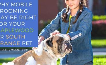 Why Mobile Grooming May Be Right for Your Maplewood or South Orange Pet